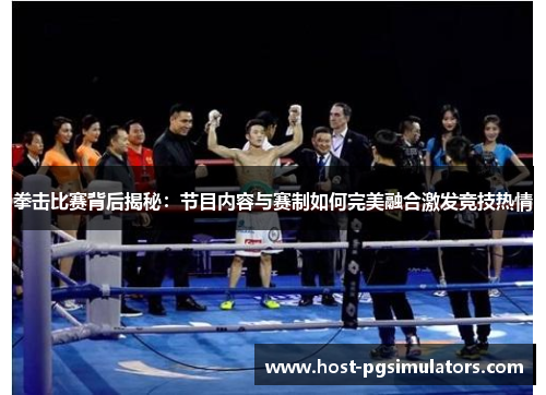 拳击比赛背后揭秘：节目内容与赛制如何完美融合激发竞技热情