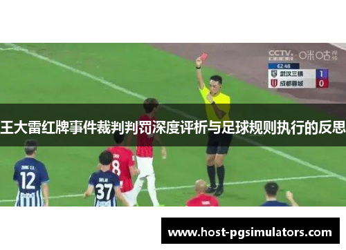王大雷红牌事件裁判判罚深度评析与足球规则执行的反思