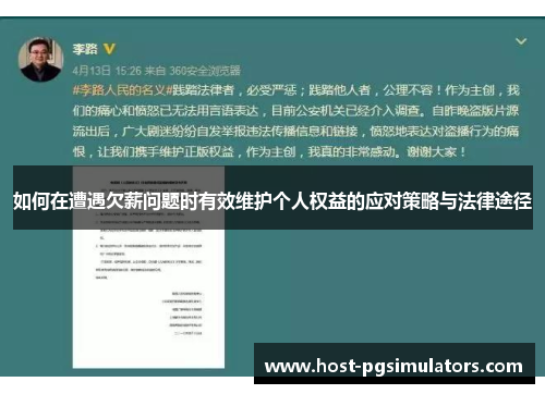 如何在遭遇欠薪问题时有效维护个人权益的应对策略与法律途径