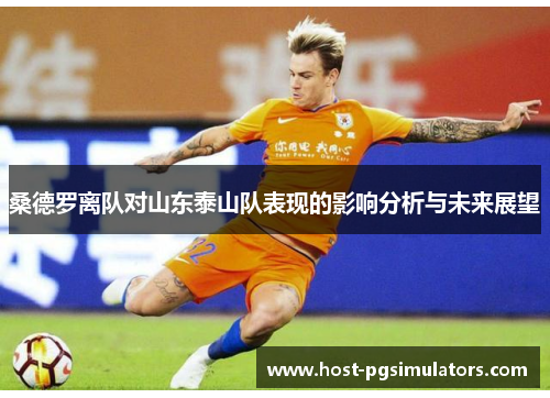 桑德罗离队对山东泰山队表现的影响分析与未来展望