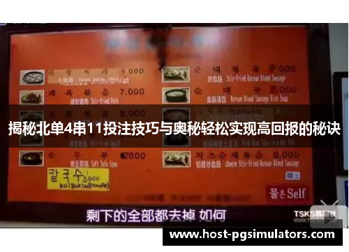 揭秘北单4串11投注技巧与奥秘轻松实现高回报的秘诀