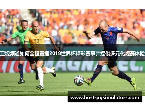 卫视频道如何全程直播2018世界杯精彩赛事并提供多元化观赛体验