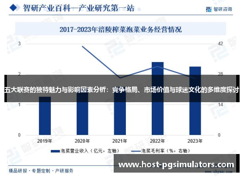 五大联赛的独特魅力与影响因素分析：竞争格局、市场价值与球迷文化的多维度探讨