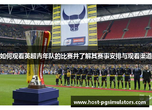 如何观看英超青年队的比赛并了解其赛事安排与观看渠道